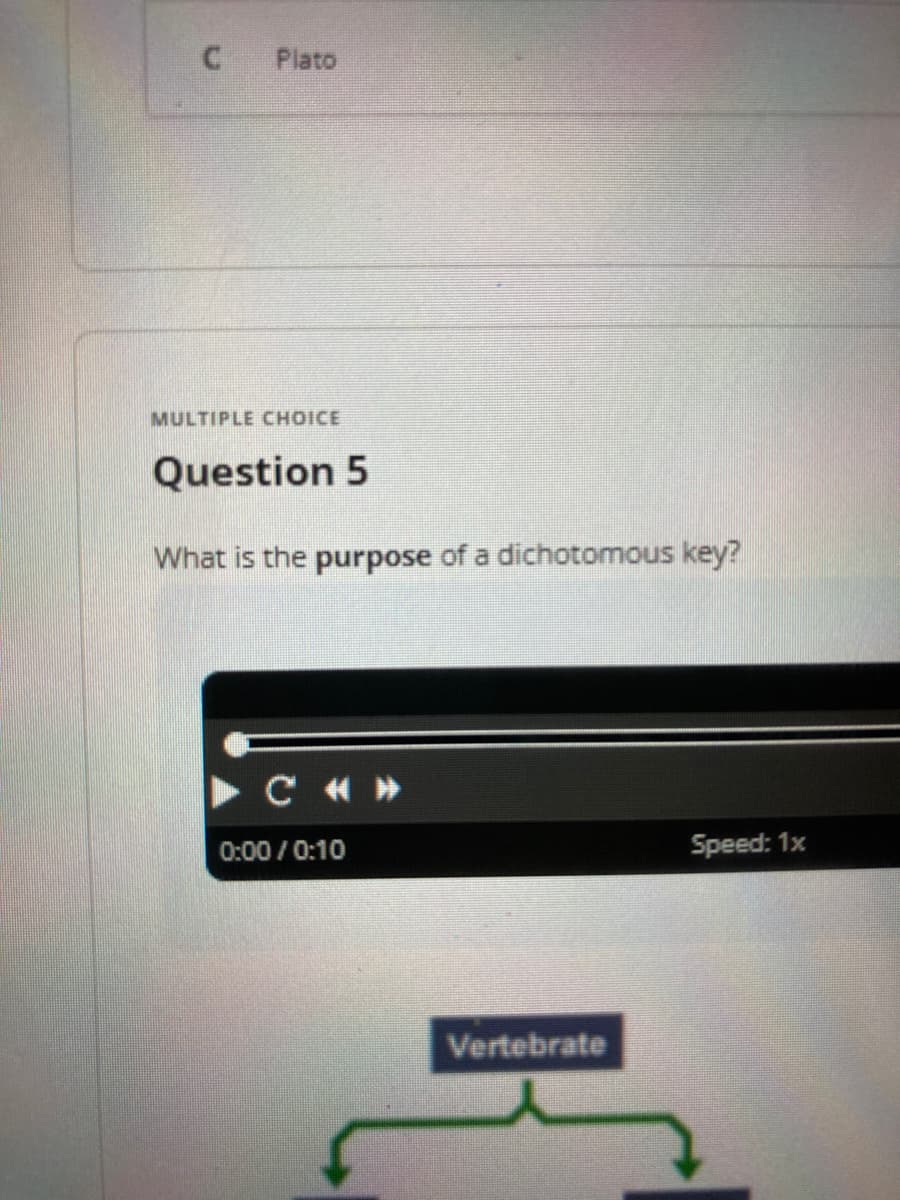C
Plato
MULTIPLE CHOICE
Question 5
What is the purpose of a dichotomous key?
C «»
Speed: 1x
0:00/0:10
Vertebrate