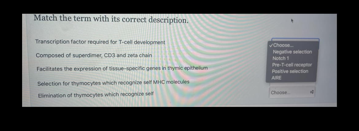 Match the term with its correct description.
Transcription factor required for T-cell development
Composed of superdimer, CD3 and zeta chain
Facilitates the expression of tissue-specific genes in thymic epithelium
Selection for thymocytes which recognize self MHC molecules
Elimination of thymocytes which recognize self
✓Choose...
Negative selection
Notch 1
Pre-T-cell receptor
Positive selection
AIRE
Choose...