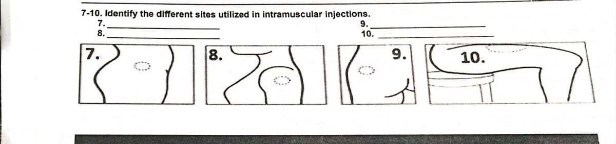 7-10. Identify the different sites utilized in intramuscular injections.
7.
9.
8.
10.
7.
8.
10.
