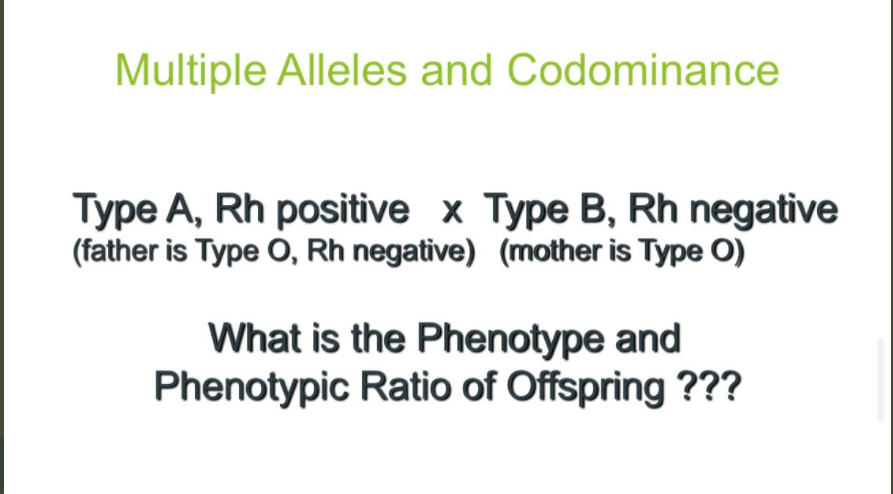 Multiple Alleles and Codominance
Type A, Rh positive x Type B, Rh negative
(father is Type O, Rh negative) (mother is Type O)
What is the Phenotype and
Phenotypic Ratio of Offspring ???
