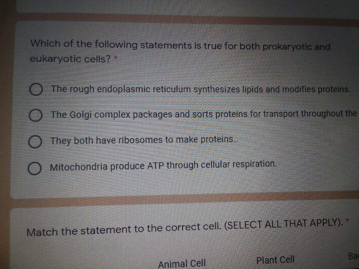 Which of the following statements is true for both prokaryotic and
eukaryotic cells?*
The rough endoplasmic reticulum synthesizes lipids and modifies proteins.
The Golgi complex packages and sorts proteins for transport throughout the
They both have ribosomes to make proteins.
Mitochondria produce ATP through cellular respiration.
Match the statement to the correct cell. (SELECT ALL THAT APPLY).
Ba
Animal Cell
Plant Cell
