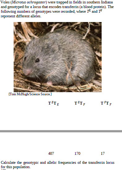 Voles (Microtus ochrogaster) were trapped in fields in southem Indiana
and genotyped for a locus that encodes transferrin (a blood protein). The
following numbers of genotypes were recorded, where T and T
represent different alleles.
[Tom McHugh/Science Source.]
TETE
TET;
TFT;
407
170
17
Calculate the genotypic and allelic frequencies of the transferrin locus
for this population.
