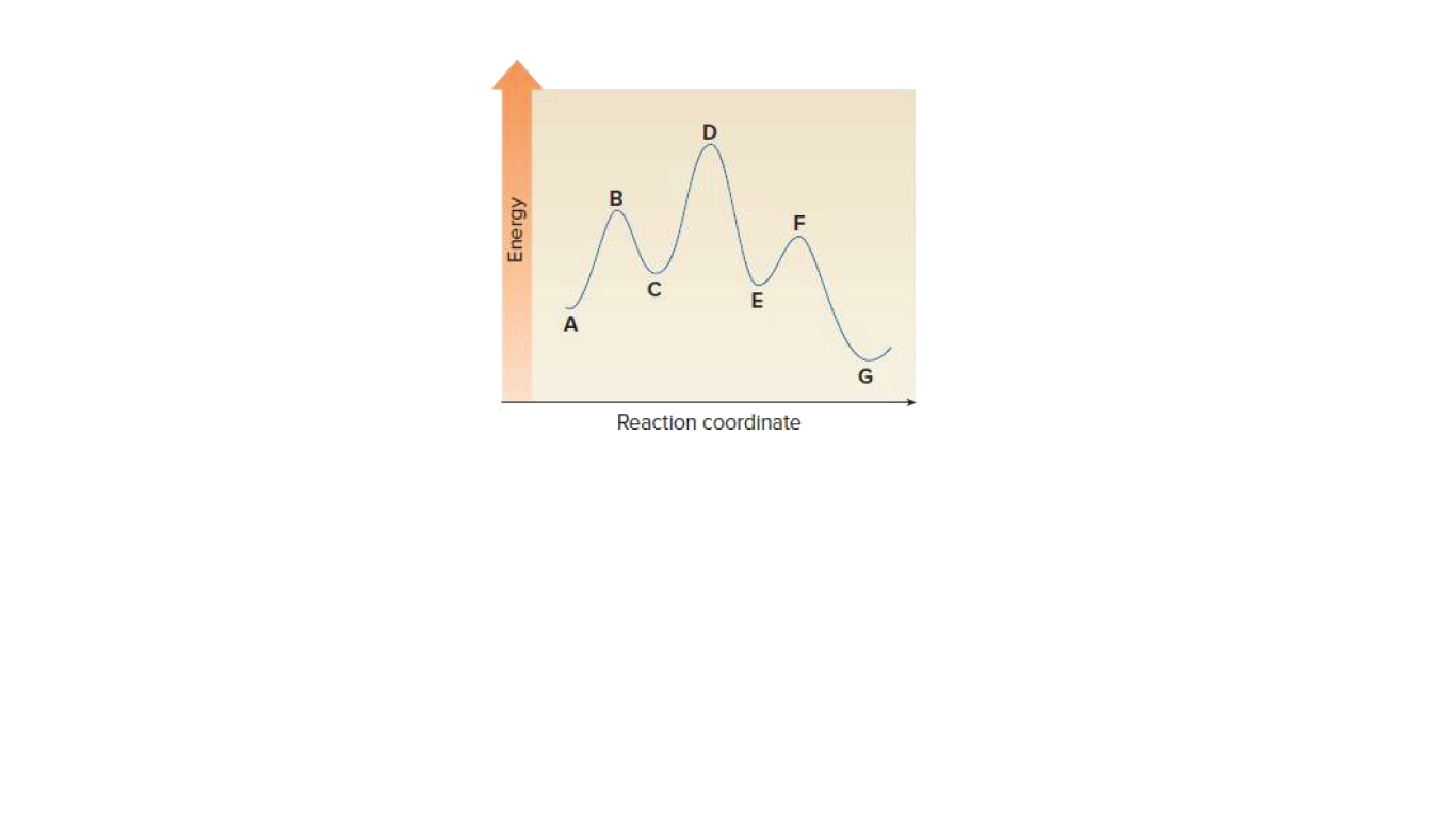 C
E
Reaction coordinate
Energy
