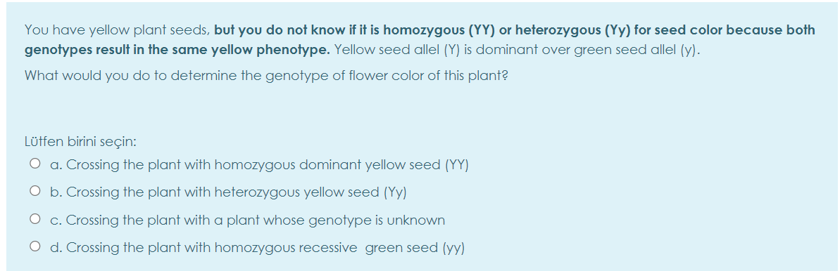 You have yellow plant seeds, but you do not know if it is homozygous (YY) or heterozygous (Yy) for seed color because both
genotypes result in the same yellow phenotype. Yellow seed allel (Y) is dominant over green seed allel (y).
What would you do to determine the genotype of flower color of this plant?
Lütfen birini seçin:
a. Crossing the plant with homozygous dominant yellow seed (YY)
O b. Crossing the plant with heterozygous yellow seed (Yy)
O c. Crossing the plant with a plant whose genotype is unknown
O d. Crossing the plant with homozygous recessive green seed (yy)
