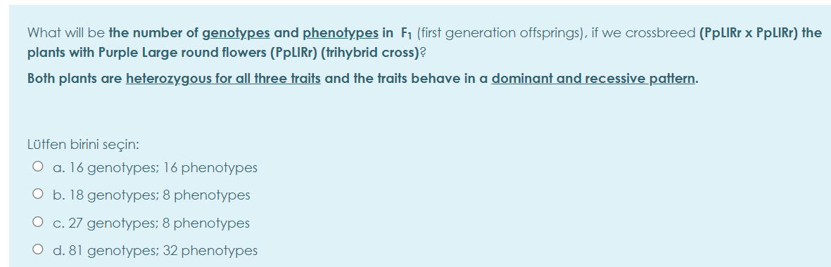 What will be the number of genotypes and phenotypes in F1 (first generation offsprings), if we crossbreed (PPLIRR x PPLIRI) the
plants with Purple Large round flowers (PPLIRF) (trihybrid cross)?
Both plants are heterozygous for all three traits and the traits behave in a dominant and recessive pattern.
Lütfen birini seçin:
O a. 16 genotypes; 16 phenotypes
O b. 18 genotypes; 8 phenotypes
O c. 27 genotypes; 8 phenotypes
O d. 81 genotypes; 32 phenotypes
