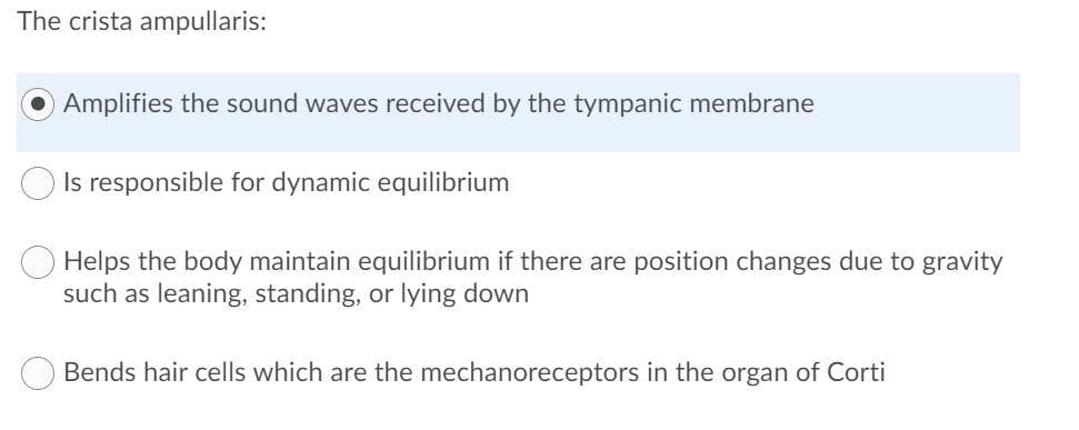 The crista ampullaris:
Amplifies the sound waves received by the tympanic membrane
Is responsible for dynamic equilibrium
Helps the body maintain equilibrium if there are position changes due to gravity
such as leaning, standing, or lying down
Bends hair cells which are the mechanoreceptors in the organ of Corti
