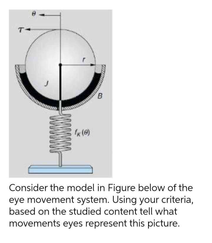 T-
Ix (e)
Consider the model in Figure below of the
eye movement system. Using your criteria,
based on the studied content tell what
movements eyes represent this picture.
