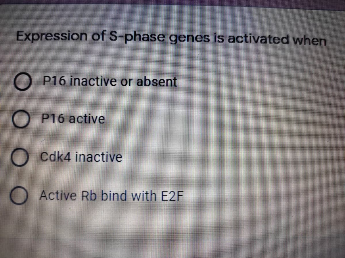 Expression of S-phase genes is activated when
O P16 inactive or absent
P16 active
Cdk4 inactive
O Active Rb bind with E2F
