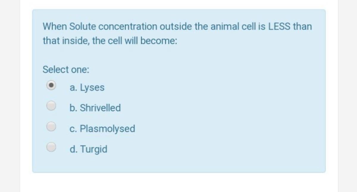 When Solute concentration outside the animal cell is LESS than
that inside, the cell will become:
Select one:
a. Lyses
b. Shrivelled
c. Plasmolysed
d. Turgid
