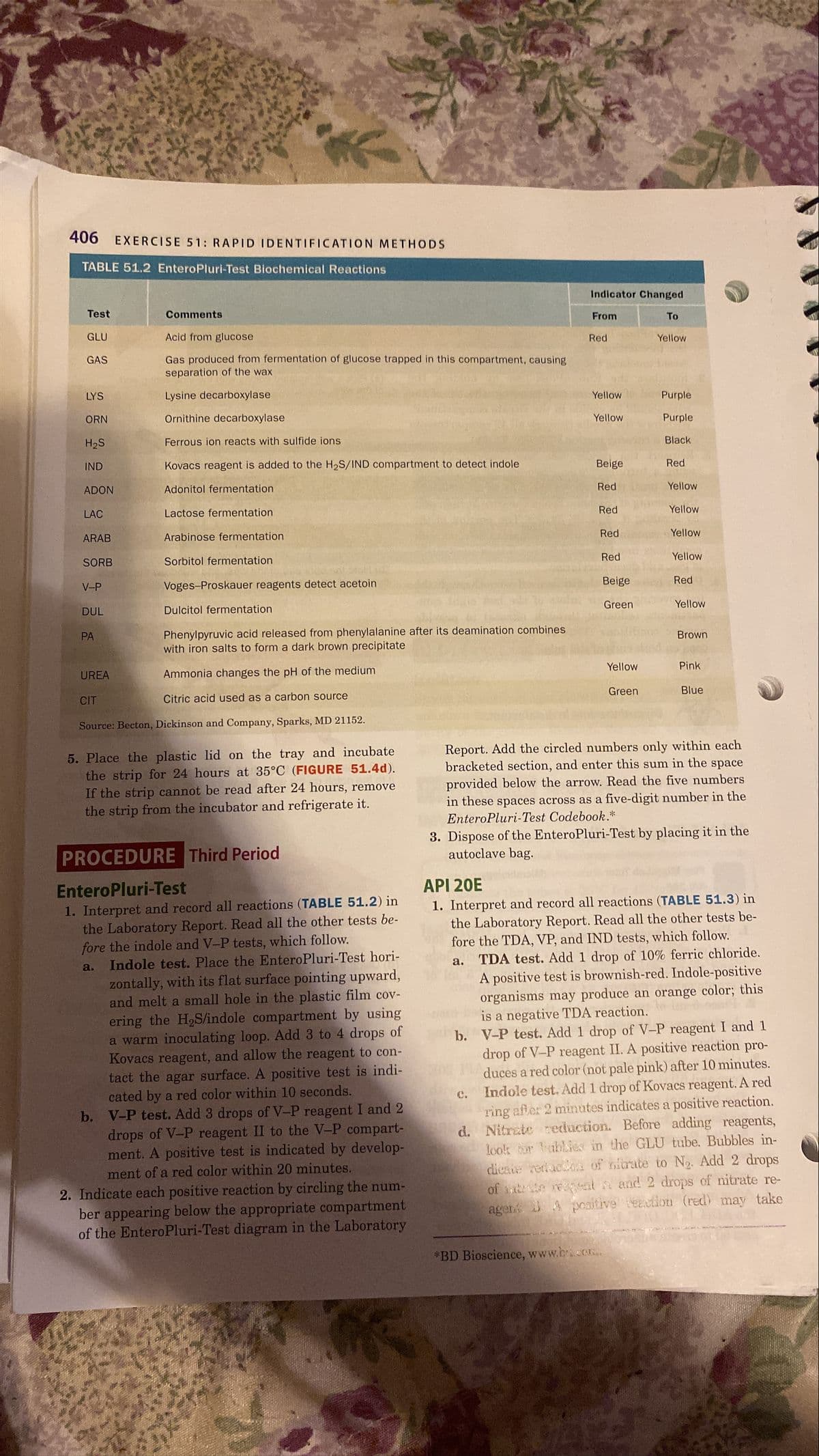 406 EXERCISE 51: RAPID IDENTIFICATION METHODS
TABLE 51.2 EnteroPluri-Test Biochemical Reactions
Indicator Changed
Test
Comments
From
To
GLU
Acid from glucose
Red
Yellow
Gas produced from fermentation of glucose trapped in this compartment, causing
separation of the wax
GAS
LYS
Lysine decarboxylase
Yellow
Purple
ORN
Ornithine decarboxylase
Yellow
Purple
H2S
Ferrous ion reacts with sulfide ions
Black
IND
Kovacs reagent is added to the H2S/IND compartment to detect indole
Beige
Red
ADON
Adonitol fermentation
Red
Yellow
LAC
Lactose fermentation
Red
Yellow
ARAB
Arabinose fermentation
Red
Yellow
Red
Yellow
SORB
Sorbitol fermentation
Voges-Proskauer reagents detect acetoin
Beige
Red
V-P
Green
Yellow
DUL
Dulcitol fermentation
Phenylpyruvic acid released from phenylalanine after its deamination combines
with iron salts to form a dark brown precipitate
PA
Brown
Yellow
Pink
UREA
Ammonia changes the pH of the medium
Green
Blue
CIT
Citric acid used as a carbon source
Source: Becton, Dickinson and Company, Sparks, MD 21152.
Report. Add the circled numbers only within each
bracketed section, and enter this sum in the space
5. Place the plastic lid on the tray and incubate
the strip for 24 hours at 35°C (FIGURE 51.4d).
If the strip cannot be read after 24 hours, remove
the strip from the incubator and refrigerate it.
provided below the arrow. Read the five numbers
in these spaces across as a five-digit number in the
EnteroPluri-Test Codebook.*
3. Dispose of the EnteroPluri-Test by placing it in the
autoclave bag.
PROCEDURE Third Period
EnteroPluri-Test
API 20E
1. Interpret and record all reactions (TABLE 51.2) in
the Laboratory Report. Read all the other tests be-
fore the indole and V-P tests, which follow.
Indole test. Place the EnteroPluri-Test hori-
zontally, with its flat surface pointing upward,
and melt a small hole in the plastic film cov-
ering the H,S/indole compartment by using
a warm inoculating loop. Add 3 to 4 drops of
Kovacs reagent, and allow the reagent to con-
tact the agar surface. A positive test is indi-
cated by a red color within 10 seconds.
b. V-P test. Add 3 drops of V-P reagent I and 2
drops of V-P reagent II to the V-P compart-
ment. A positive test is indicated by develop-
ment of a red color within 20 minutes.
1. Interpret and record all reactions (TABLE 51.3) in
the Laboratory Report. Read all the other tests be-
fore the TDA, VP, and IND tests, which follow.
a. TDA test. Add 1 drop of 10% ferric chloride.
A positive test is brownish-red. Indole-positive
organisms may produce an orange color; this
is a negative TDA reaction.
b. V-P test. Add 1 drop of V-P reagent I and 1
drop of V-P reagent II. A positive reaction pro-
duces a red color (not pale pink) after 10 minutes.
Indole test. Add 1 drop of Kovacs reagent. A red
ring after 2 minutes indicates a positive reaction.
d. Nitrate eduction. Before adding reagents,
look r ablies in the GLU tube. Bubbles in-
a.
с.
dicae reracion of nitrate to N2. Add 2 drops
2. Indicate each positive reaction by circling the num-
ber appearing below the appropriate compartment
of the EnteroPluri-Test diagram in the Laboratory
of te regnt n and 2 drops of nitrate re-
agen A positive eation (red) may take
*BD Bioscience, www.bco.
