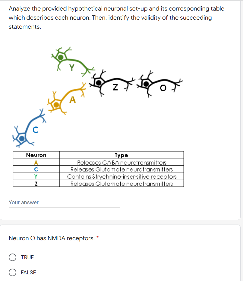 Analyze the provided hypothetical neuronal set-up and its corresponding table
which describes each neuron. Then, identify the validity of the succeeding
statements.
Y
A
Neuron
Туре
Releases GABAneurotransmitters
Releases Glutamate neurotransmitters
Contains Strychnine-insensitive receptors
Releases Glutamate neurotransmitters
Y
Your answer
Neuron O has NMDA receptors. *
TRUE
FALSE
