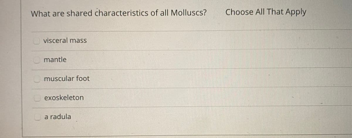 What are shared characteristics of all Molluscs?
Choose All That Apply
visceral mass
mantle
Omuscular foot
exoskeleton
a radula
