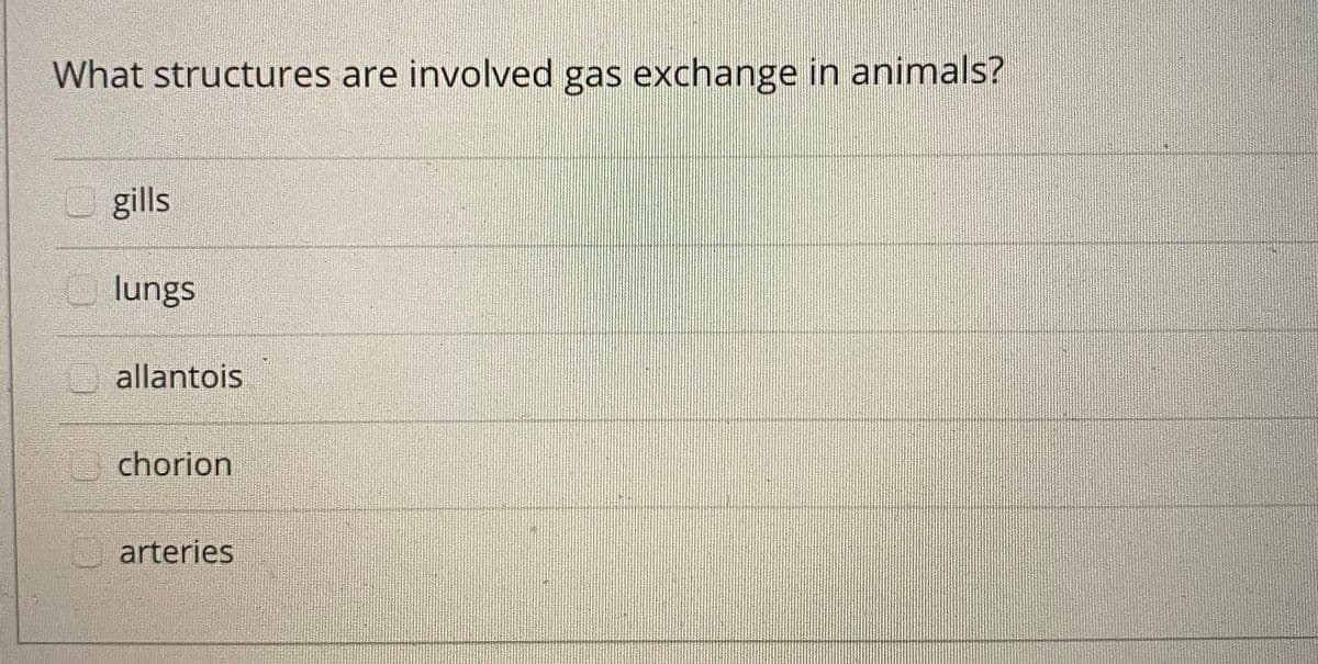 What structures are involved gas exchange in animals?
gills
O lungs
allantois
U chorion
arteries

