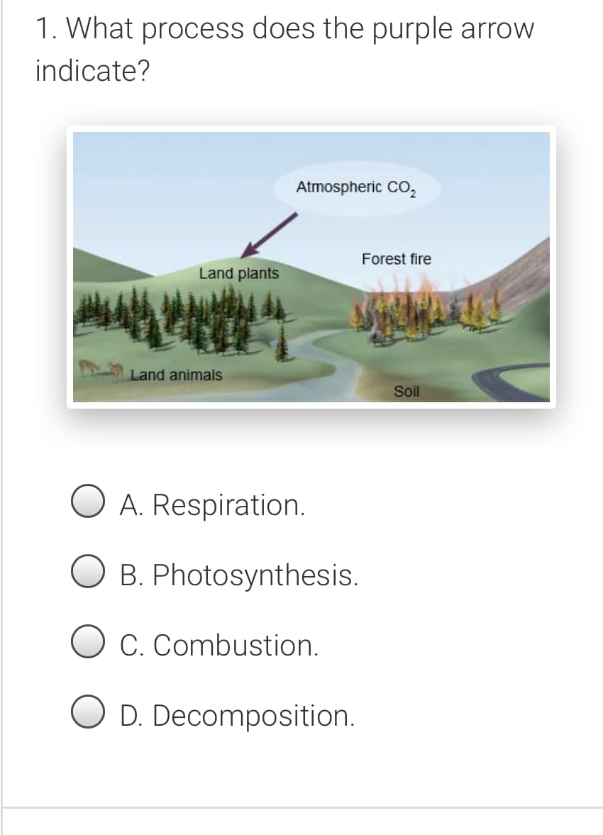 1. What process does the purple arrow
indicate?
Atmospheric CO,
Forest fire
Land plants
Land animals
Soil
O A. Respiration.
B. Photosynthesis.
C. Combustion.
D. Decomposition.
