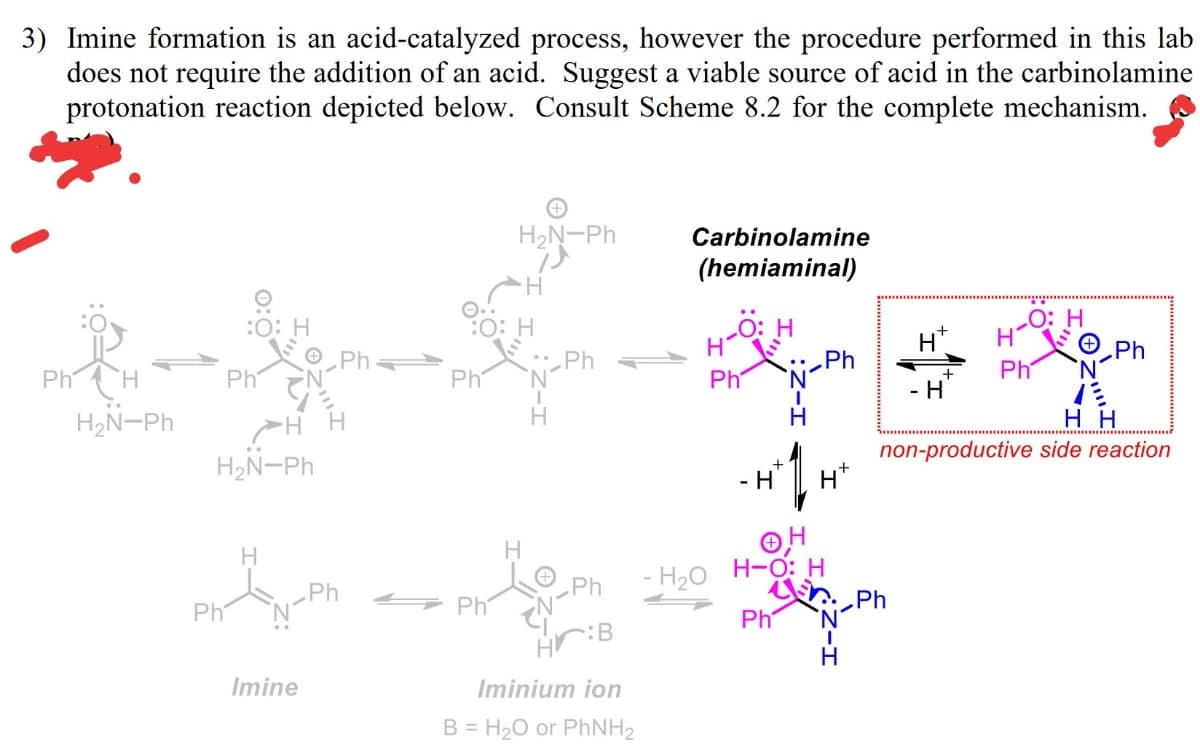 3) Imine formation is an acid-catalyzed process, however the procedure performed in this lab
does not require the addition of an acid. Suggest a viable source of acid in the carbinolamine
protonation reaction depicted below. Consult Scheme 8.2 for the complete mechanism.
H2N-Ph
Carbinolamine
(hemiaminal)
H.
Ö: H
H
:0: H
:O: H
LO: H
H*
Ph
N.
Ph
Ph
Ph
N-Ph
Ph
Ph
H
H2N-Ph
н
non-productive side reaction
H2N-Ph
+
H
H
H.
H-O: H
n. Ph
Ph
Ph
- H20
Ph
Ph
S Phí
·:B
H
Imine
Iminium ion
B = H2O or PHNH2
