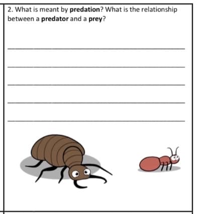 2. What is meant by predation? What is the relationship
between a predator and a prey?
