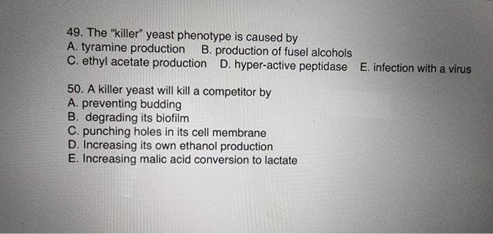 49. The "killer" yeast phenotype is caused by
A. tyramine production B. production of fusel alcohols
C. ethyl acetate production D. hyper-active peptidase E. infection with a virus
50. A killer yeast will kill a competitor by
A. preventing budding
B. degrading its biofilm
C. punching holes in its cell membrane
D. Increasing its own ethanol production
E. Increasing malic acid conversion to lactate