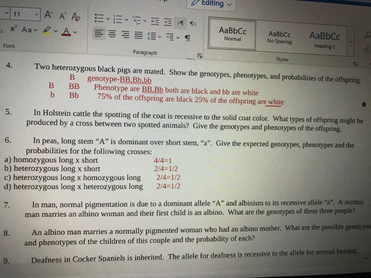 Editing v
A A A E E E
V 11
, x Aa A-
川===、
AaBbCc
AaBbCc
No Spacing
AaBbCc
Normal
Font
Heading 1
Paragraph
Styles
4.
Two heterozygous black pigs are mated. Show the genotypes, phenotypes, and probabilities of the offspring.
В
genotype-BB.Bb.bb
Phenotype are BB,Bb both are black and bb are white
75% of the offspring are black 25% of the offspring are white
B
BB
Bb
In Holstein cattle the spotting of the coat is recessive to the solid coat color. What types of offspring might be
produced by a cross between two spotted animals? Give the genotypes and phenotypes of the offspring.
6.
In
peas, long stem "A" is dominant over short stem, "a". Give the expected genotypes, phenotypes and the
probabilities for the following crosses:
a) homozygous long x short
b) heterozygous long x short
c) heterozygous long x homozygous long
d) heterozygous long x heterozygous long
4/4-1
2/4-1/2
2/4-1/2
2/4-1/2
In man, normal pigmentation is due to a dominant allele "A" and albinism to its recessive allele "a". A normal
man marries an albino woman and their first child is an albino. What are the genotypes of these three people?
7.
An albino man marries a normally pigmented woman who had an albino mother. What are the possible genotypes
and phenotypes of the children of this couple and the probability of each?
8.
9.
Deafness in Cocker Spaniels is inherited. The allele for deafness is recessive to the allele for normal hearing.
5.
