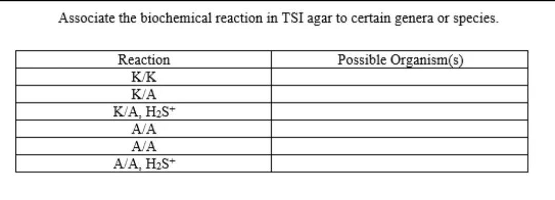 Associate the biochemical reaction in TSI agar to certain genera or species.
Reaction
Possible Organism(s)
K/K
K/A
K/A, H2S*
A/A
A/A
A/A, H2S*
