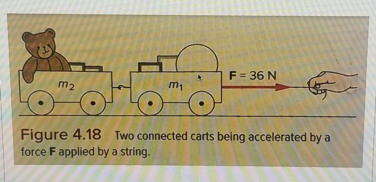 F = 36 N
m2
m1
Figure 4.18 Two connected carts being accelerated by a
force F applied by a string.
