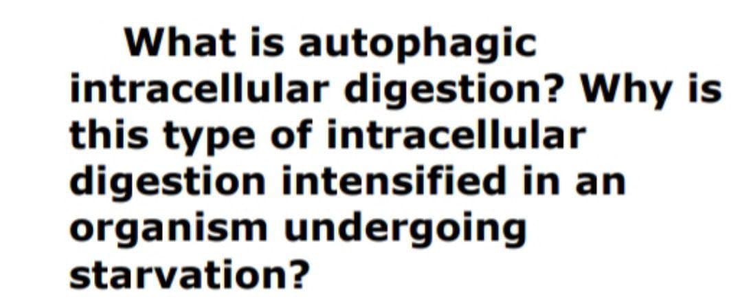What is autophagic
intracellular digestion? Why is
this type of intracellular
digestion intensified in an
organism undergoing
starvation?

