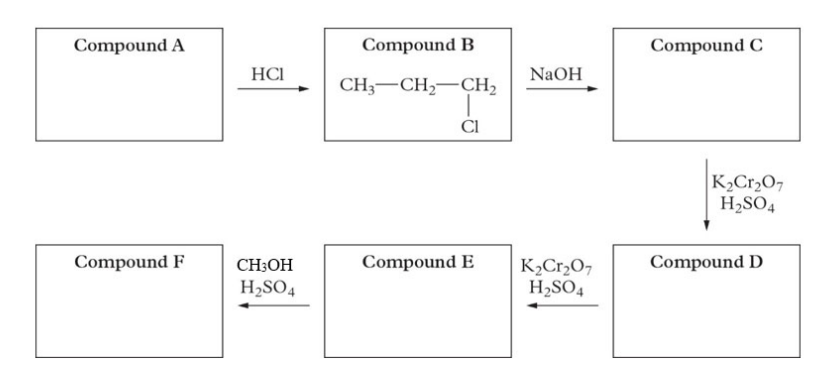 Compound A
Compound F
HCI
CH3OH
H₂SO4
Compound B
CH3 CH₂ CH₂
Cl
Compound E
NaOH
K₂Cr₂O7
H₂SO4
Compound C
K₂Cr₂O7
H₂SO4
Compound D