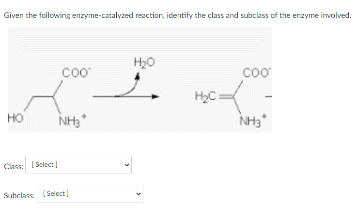 Given the following enzyme-catalyzed reaction, identify the class and subclass of the enzyme involved.
HO
Class: [Select]
COO™
NH3*
Subclass: [Select]
H₂O
H₂C=
COO™
NH3*