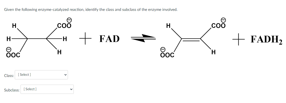 Given the following enzyme-catalyzed reaction, identify the class and subclass of the enzyme involved.
H
H
e
ООС
Class: [Select]
Subclass: [Select]
COO
-H
H
+ FAD
H
ООС
COO
+ FADH₂