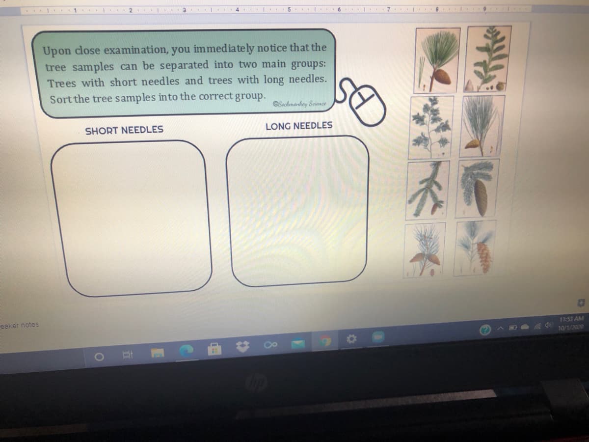 .. 1 2
7 8 I 9
Upon close examination, you immediately notice that the
tree samples can be separated into two main groups:
Trees with short needles and trees with long needles.
Sort the tree samples into the correct group.
Sechmanhey Scioncr
SHORT NEEDLES
LONG NEEDLES
eaker notes
11:53 AM
10/1/2020
