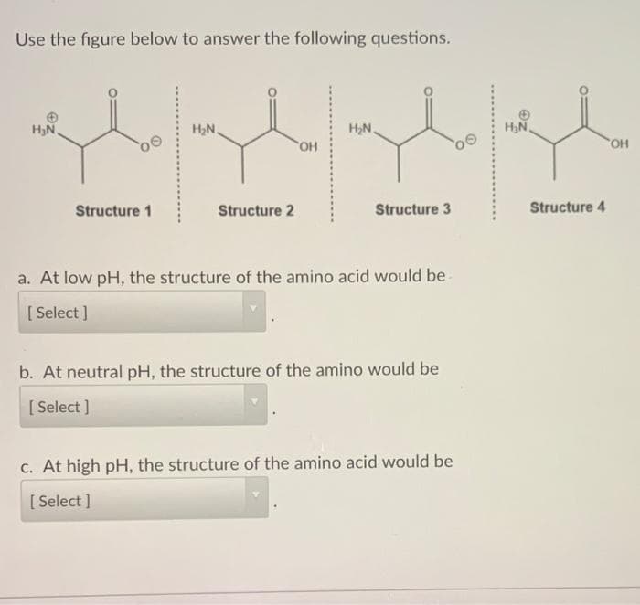 Use the figure below to answer the following questions.
HN.
H2N,
H,N.
HN
HO,
Structure 1
Structure 2
Structure 3
Structure 4
a. At low pH, the structure of the amino acid would be
[ Select ]
b. At neutral pH, the structure of the amino would be
[ Select ]
C. At high pH, the structure of the amino acid would be
[ Select ]
