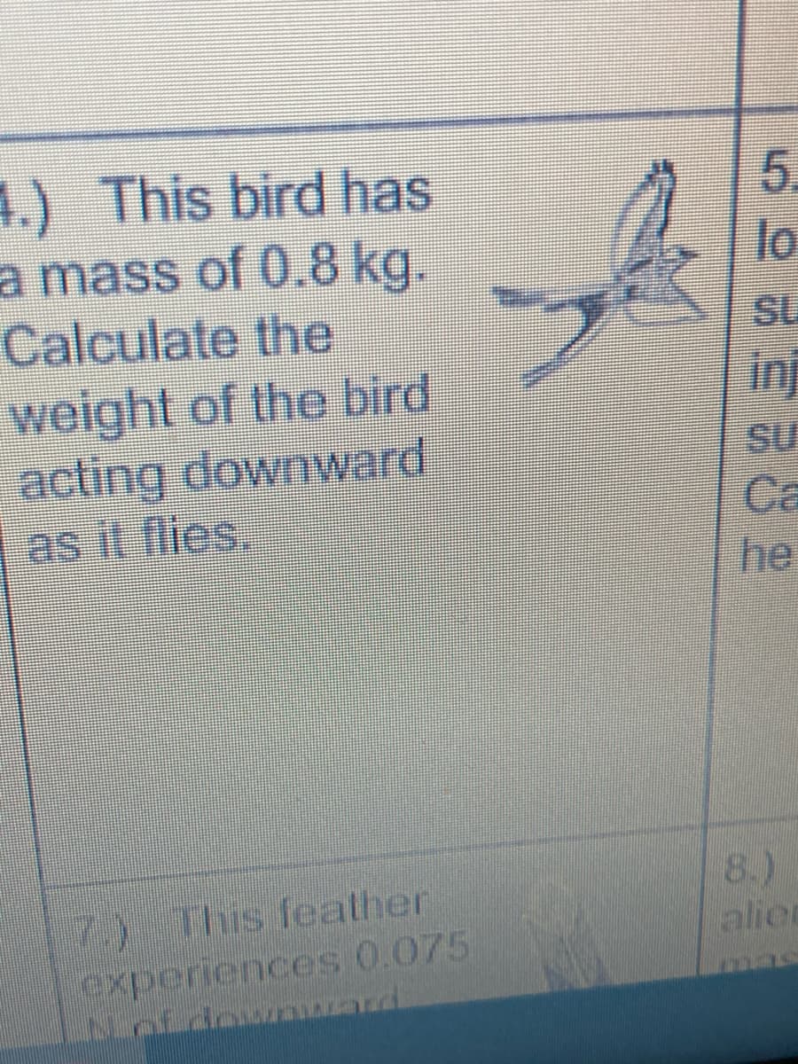 4.) This bird has
a mass of 0.8 kg.
Calculate the
weight of the bird
acting downward
es it flies.
5.
SL
inf
Su
Ca
he
8.)
alier
7) This fealher
experiences 0.075
Nof downzard
