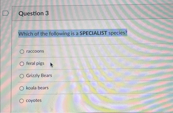Question 3
Which of the following is a SPECIALIST species?
raccoons
feral pigs A
O Grizzly Bears
O koala bears
O coyotes