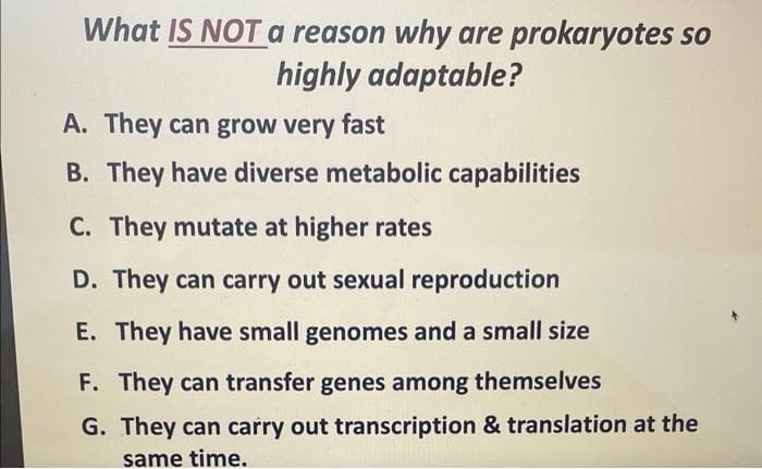 What IS NOT a reason why are prokaryotes so
highly adaptable?
A. They can grow very fast
B. They have diverse metabolic capabilities
C. They mutate at higher rates
D. They can carry out sexual reproduction
E. They have small genomes and a small size
F. They can transfer genes among themselves
G. They can carry out transcription & translation at the
same time.