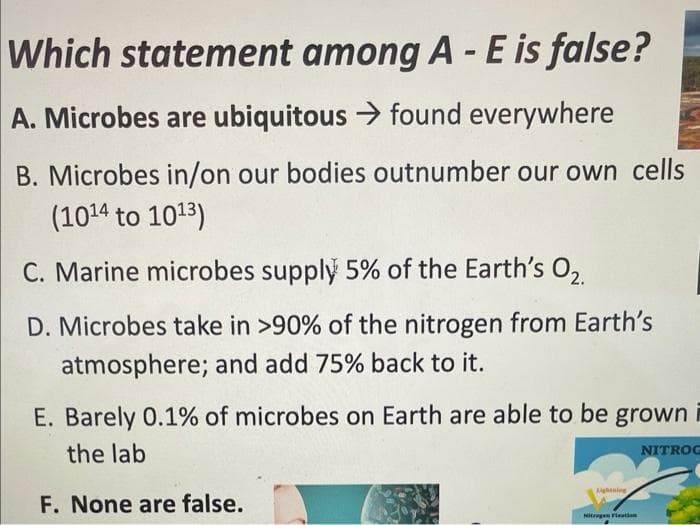 Which statement among A - E is false?
A. Microbes are ubiquitous → found everywhere
B. Microbes in/on our bodies outnumber our own cells
(1014 to 1013)
C. Marine microbes supply 5% of the Earth's 02.
D. Microbes take in >90% of the nitrogen from Earth's
atmosphere; and add 75% back to it.
E. Barely 0.1% of microbes on Earth are able to be grown i
the lab
NITROG
F. None are false.
Aightning
Nitrogen Flation