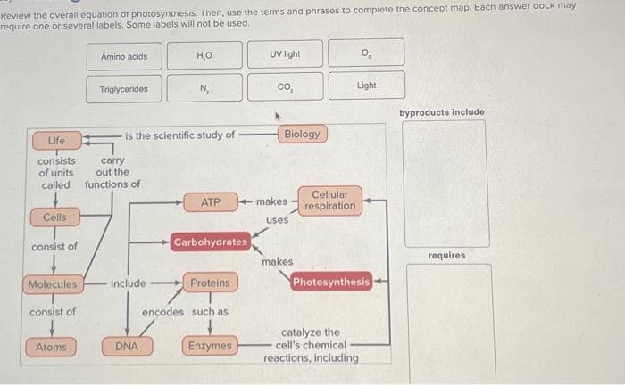 Review the overall equation of photosynthesis. I nen, use the terms and phrases to complete the concept map. Each answer dock may
require one or several labels. Some labels will not be used.
Life
consists
of units
called
Cells
consist of
Molecules
consist of
Atoms
Amino acids
Triglycerides
carry
out the
functions of
is the scientific study of
H₂O
include
DNA
N₁
ATP
Carbohydrates
Proteins
encodes such as
Enzymes
UV light
Co,
Biology
makes
uses
makes
Cellular
respiration
Light
Photosynthesis
catalyze the
cell's chemical
reactions, including
byproducts Include
requires