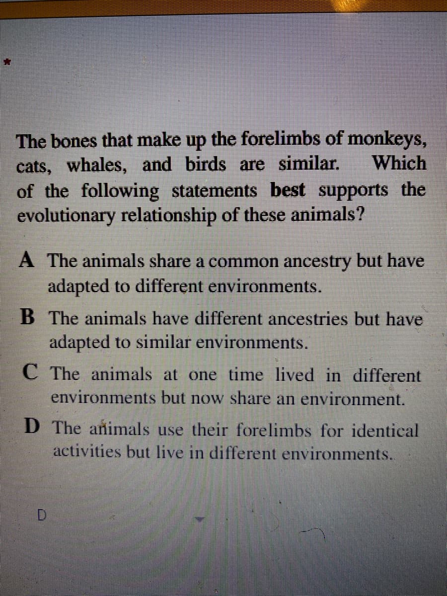 The bones that make up the forelimbs of monkeys,
cats, whales, and birds are similar.
of the following statements best supports the
evolutionary relationship of these animals?
Which
A The animals share a common ancestry but have
adapted to different environments.
B The animals have different ancestries but have
adapted to similar environments.
C The animals at one time lived in different
environments but now share an environment.
D The animals use their forelimbs for identieal
activities but live in different environments.
