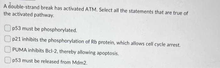 A double-strand break has activated ATM. Select all the statements that are true of
the activated pathway.
p53 must be phosphorylated.
p21 inhibits the phosphorylation of Rb protein, which allows cell cycle arrest.
PUMA inhibits Bcl-2, thereby allowing apoptosis.
p53 must be released from Mdm2.