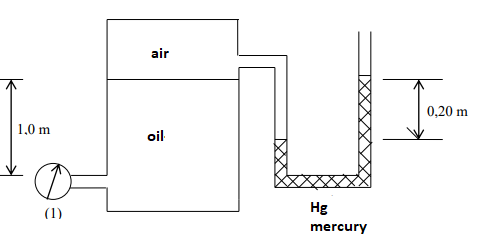 air
0,20 m
1,0 m
oil
Hg
(1)
mercury
