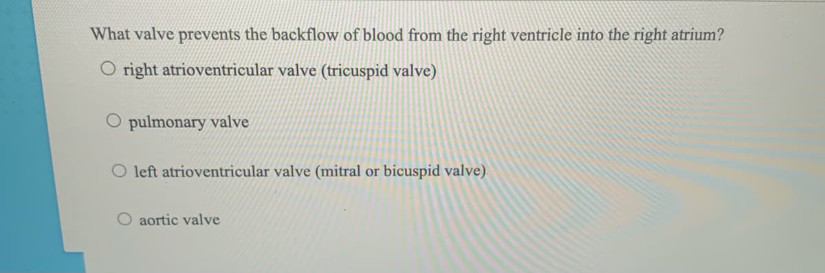 What valve prevents the backflow of blood from the right ventricle into the right atrium?
O right atrioventricular valve (tricuspid valve)
pulmonary valve
O left atrioventricular valve (mitral or bicuspid valve).
O aortic valve
