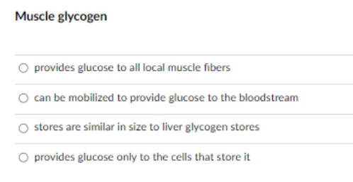 Muscle glycogen
provides glucose to all local muscle fibers
O can be mobilized to provide glucose to the bloodstream
stores are similar in size to liver glycogen stores
O provides glucose only to the cells that store it