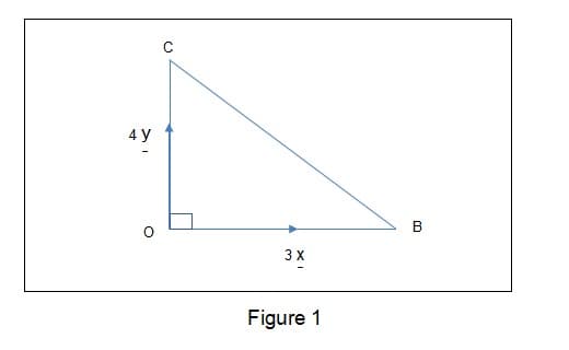 4 y
3 X
Figure 1
