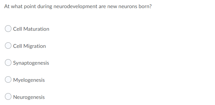At what point during neurodevelopment are new neurons born?
Cell Maturation
Cell Migration
Synaptogenesis
Myelogenesis
Neurogenesis
