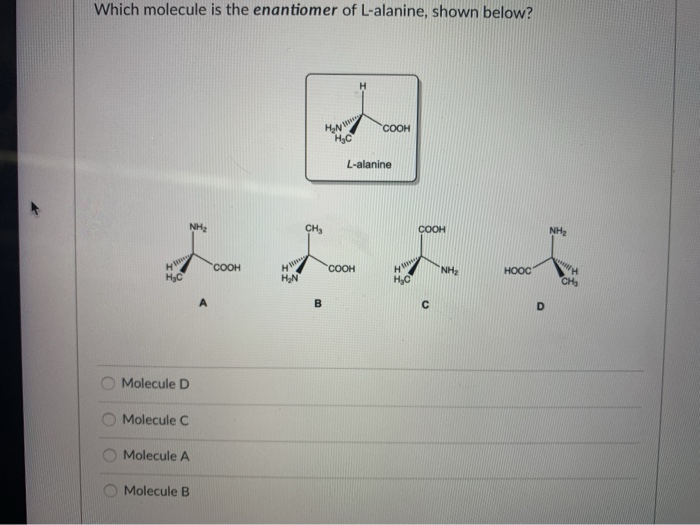 Which molecule is the enantiomer of L-alanine, shown below?
COOH
L-alanine
NH
CH,
COOH
NH2
COOH
COOH
NH2
HOOC
HN
Molecule D
Molecule C
Molecule A
Molecule B
