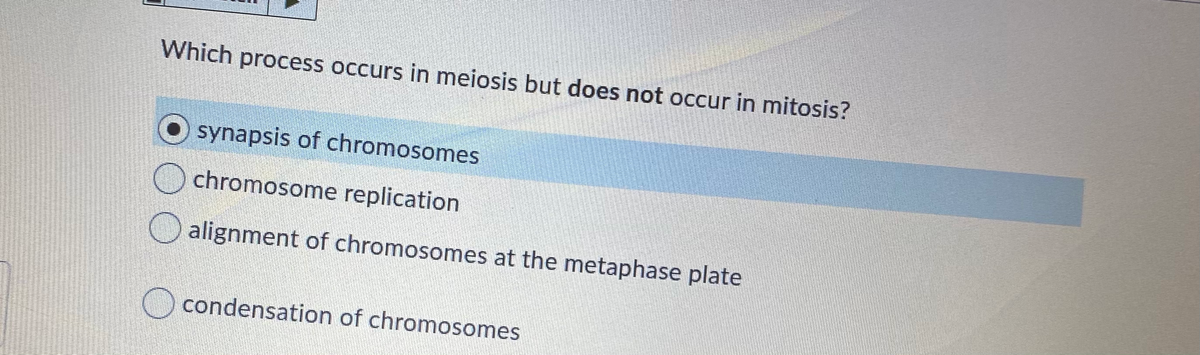 Which process occurs in meiosis but does not occur in mitosis?
synapsis of chromosomes
chromosome replication
O alignment of chromosomes at the metaphase plate
condensation of chromosomes
