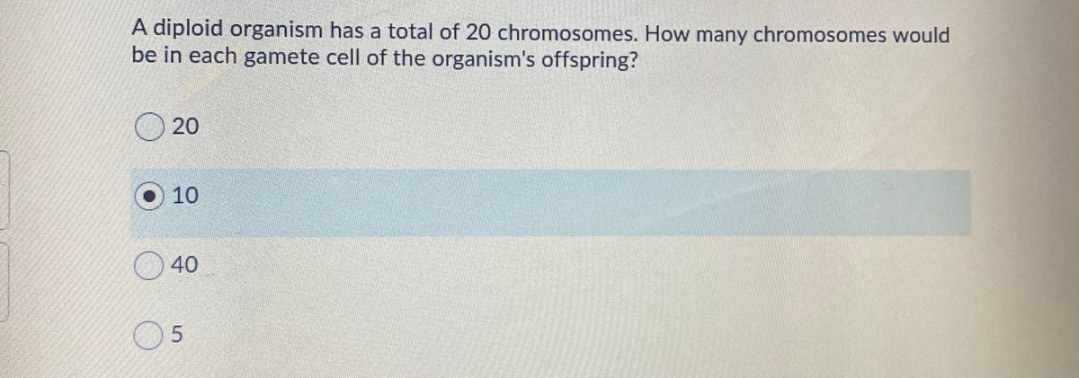 A diploid organism has a total of 20 chromosomes. How many chromosomes would
be in each gamete cell of the organism's offspring?
O 20
10
40
05

