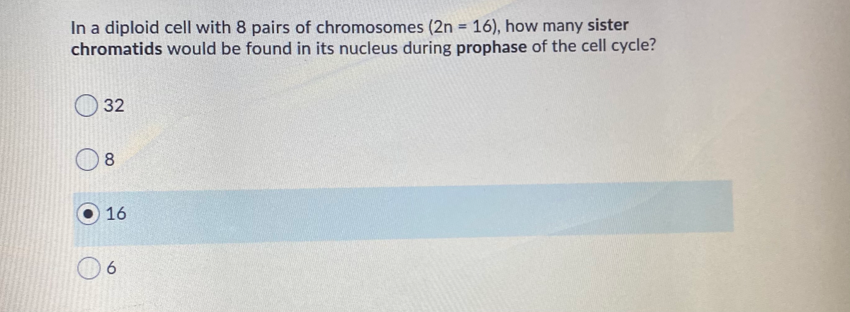 In a diploid cell with 8 pairs of chromosomes (2n = 16), how many sister
chromatids would be found in its nucleus during prophase of the cell cycle?
%3D
O 32
08
16
06
