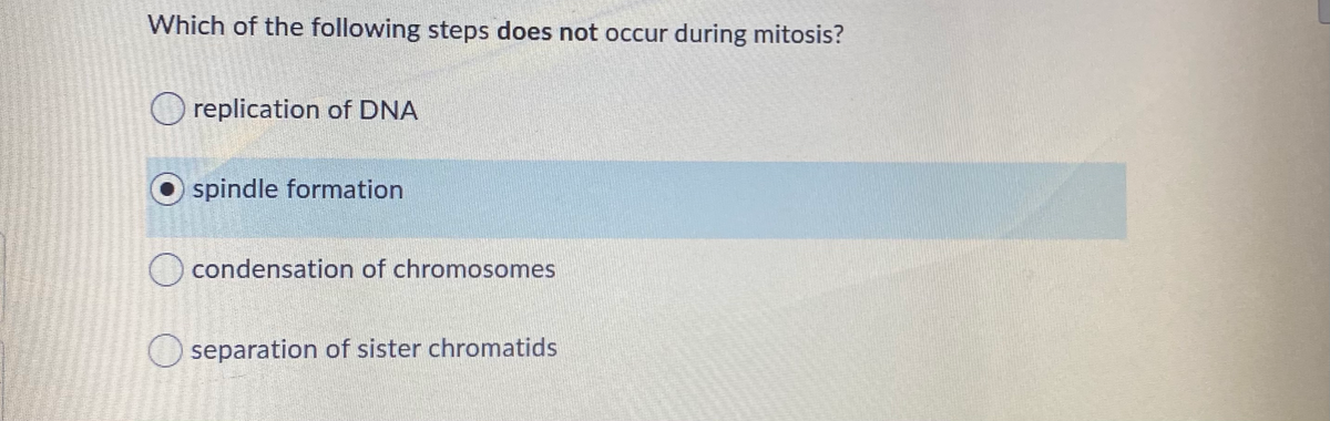 Which of the following steps does not occur during mitosis?
O replication of DNA
spindle formation
O condensation of chromosomes
separation of sister chromatids
