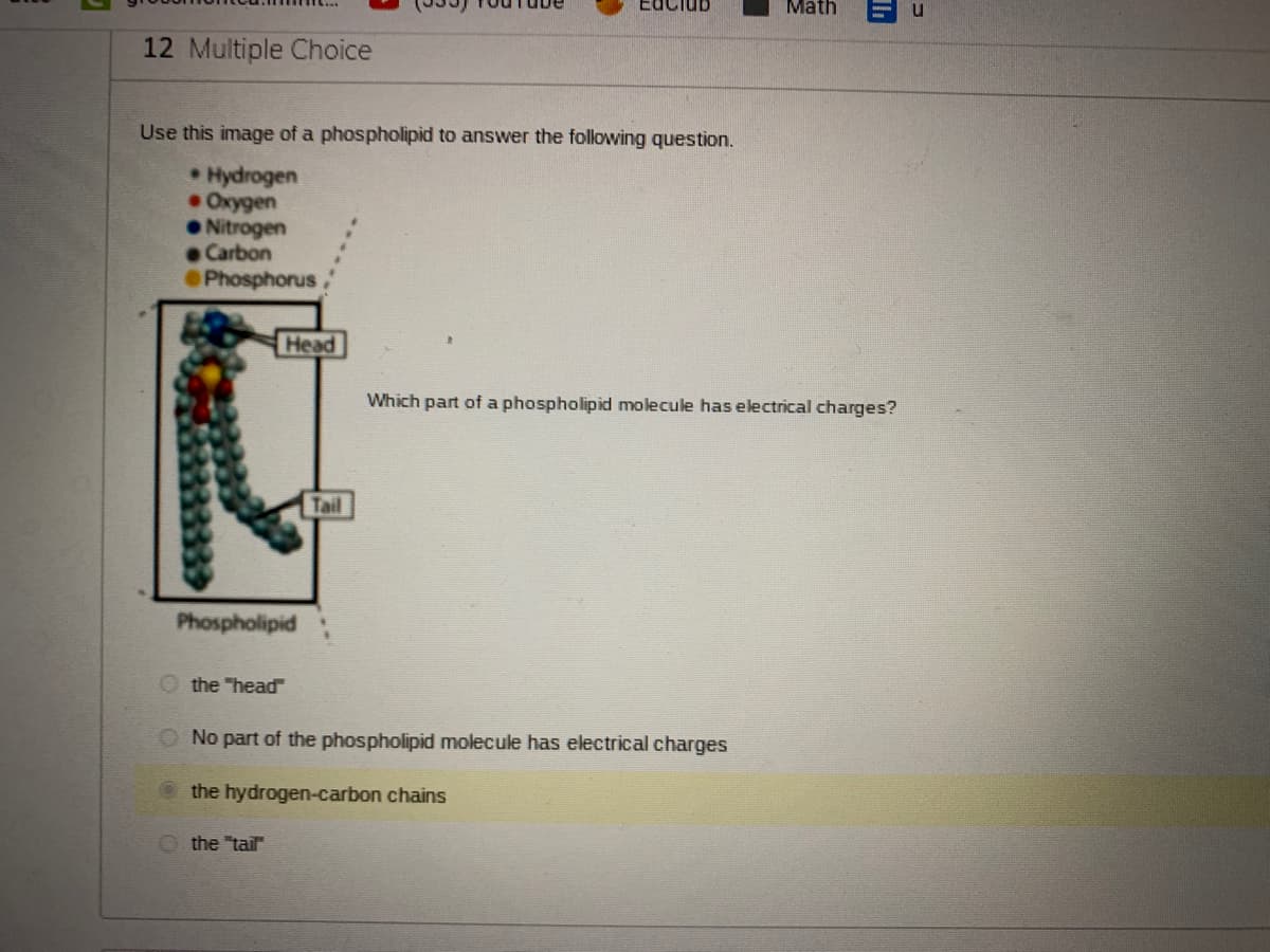 Math
12 Multiple Choice
Use this image of a phospholipid to answer the following question.
Hydrogen
•Oxygen
• Nitrogen
Carbon
Phosphorus
Head
Which part of a phospholipid molecule has electrical charges?
Tail
Phospholipid
the "head
No part of the phospholipid molecule has electrical charges
the hydrogen-carbon chains
O the "tail
