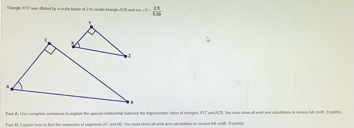 Triangle XYZ was dilated by a scale factor of 2 to create triangle ACB and cos ZX= 2.5
5.59
W
A
B
Part A: Use complete sentences to explain the special relationship between the trigonometric ratios of triangles XYZ and ACB. You must show all work and calculations to receive full credit. (5 points)
Part B: Explain how to find the measures of segments AC and AB. You must show all work and calculations to receive full credit. (5 points)