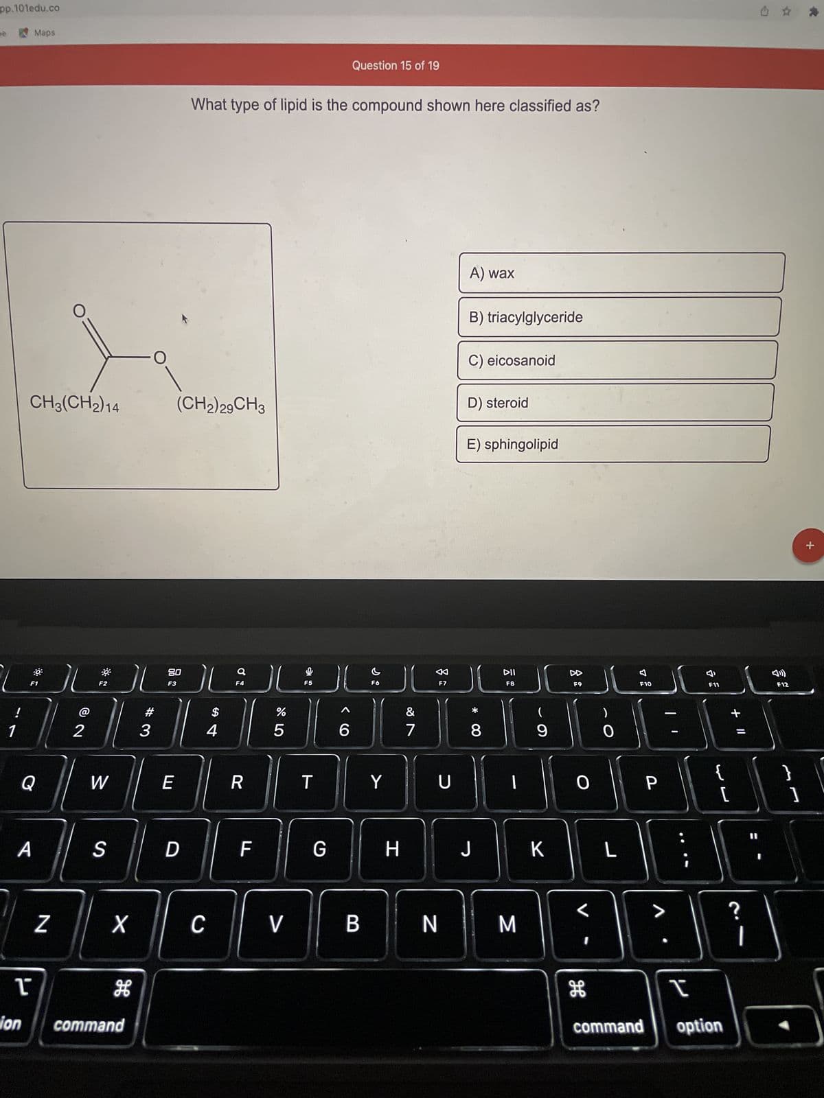 pp.101edu.co
!
1
CH3(CH₂) 14
ion
Maps
F1
A
Q
ㅂ
Z
F2
2 ||
W
S
X
H
command
#3
80
F3
(CH2)29 CH3
E
$
|| 4
What type of lipid is the compound shown here classified as?
D
C
Q
F4
R
F
%
175⁰
V
F5
T
Question 15 of 19
G
B
c
F6
Y
H
&
7
A
F7
N
A) wax
B) triacylglyceride
C) eicosanoid
D) steroid
E) sphingolipid
* 00
8
J
DII
F8
M
(
9
K
F9
O
H
L
7
F10
P
F11
[
t
command option
+
?
I
女
F12
+
}
{\
]